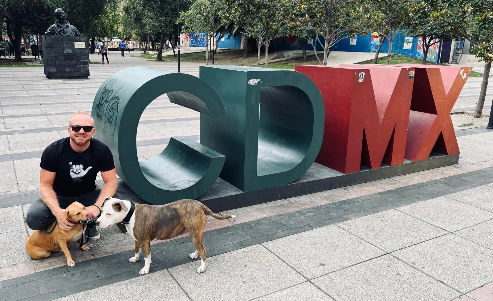 How My Family (and Our Pets) Made It to Mexico City: A Pet Travel Story