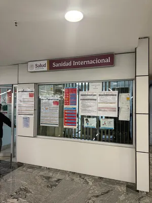 🐾 How My Cat and Two Dogs Flew to Puerto Vallarta With Me