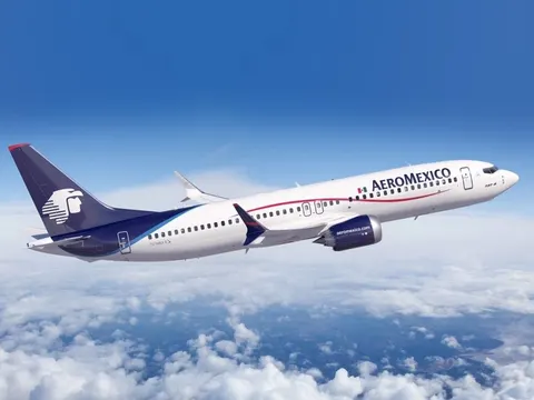 Aeromexico aircraft used for the Mexico to USA pet travel story