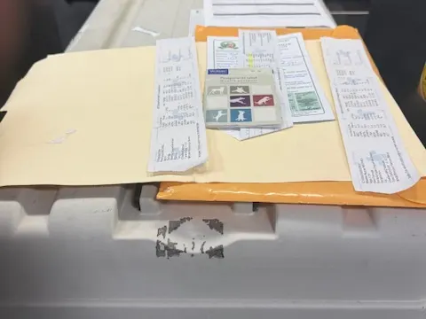 Pet travel documents and airline labels prepared on top of an animal crate